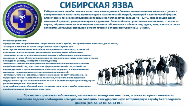О ПРОФИЛАКТИКЕ СИБИРСКОЙ ЯЗВЫ. О ПРОФИЛАКТИКЕ СИБИРСКОЙ ЯЗВЫ.